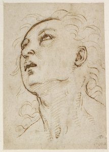 Recto: Cabeza de un joven mirando hacia arriba, WA1846.156 de Raffaello Sanzio Raphael